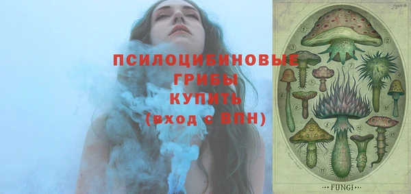 прущие грибы Волосово