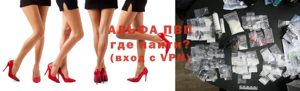 прущие грибы Волосово