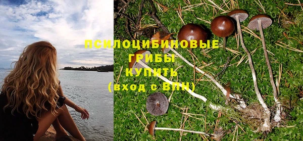 прущие грибы Волосово
