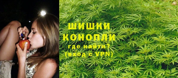 прущие грибы Волосово